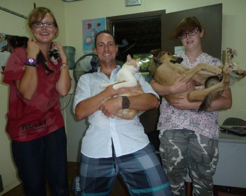 P1010633 n04yz7ci86v8gfy85kv9il8bd0qih4np17lrw8l1uo - Volunteering for Animals Fiji