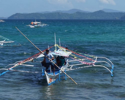 Island Agriculture and Fishing Palawan, Philippines Palawan scenic 7 ncwn0sf64drc1vhmsgxplsxwiffqt0tfww8450e1sw - Island Agriculture and Fishing Palawan, Philippines