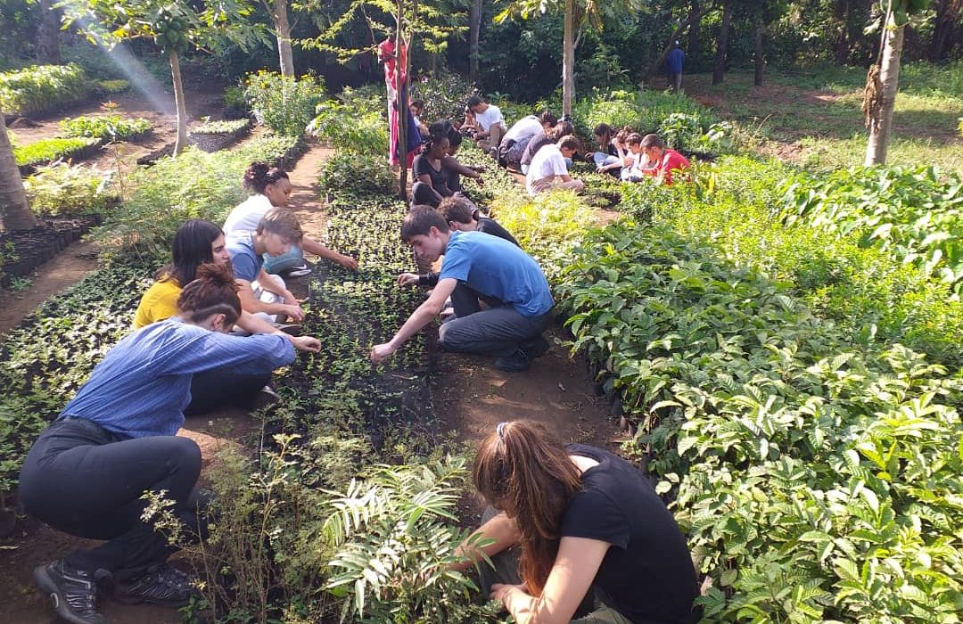 Planting trees on conservation project oiam2nit13ums1dfxepuafgccghptsqqoyz494bom0 - Medical Hospital Internship Review Cambodia 2015