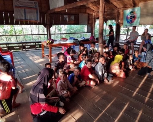 mangrove conservation cambodi mangrove conservation cambodi