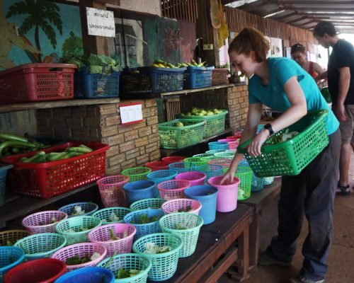 Thailand Sorting out the food ncuerdhflcd922ixy06fffranezug31gzmad1ajyqo - Thailand