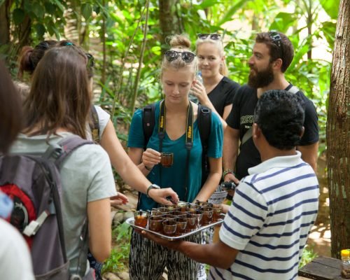 volunteer placements volunteer placements