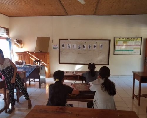 Bali review primary school Bali review primary school