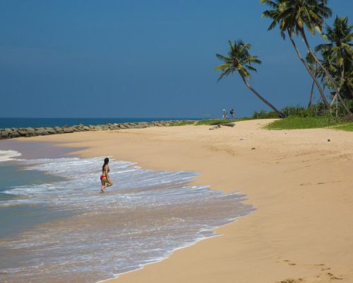 beach Ambalangoda Sri Lanka okb6m8nrkqqttck0l70i23yf2f0pnfiz4oblklis9s - 4 Week Sri Lanka Wildlife & Conservation Experience