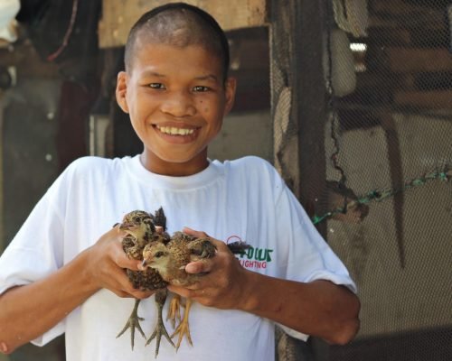 Street Children Support Philippines boy from shelter holding chicks 1 scaled pziyzn60nzqgmyq4e2jngn38qq5ylj0po48wyoswps - Street Children Support Philippines