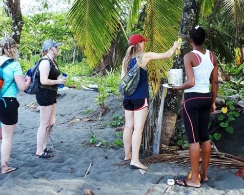 Beach Clean Up & Nature Reserve Costa Rica costa rica beach conservation psb7mu0alcw5v7wkzrqjssnkhhaseukvf7ona9cko0 - Beach Clean Up & Nature Reserve Costa Rica