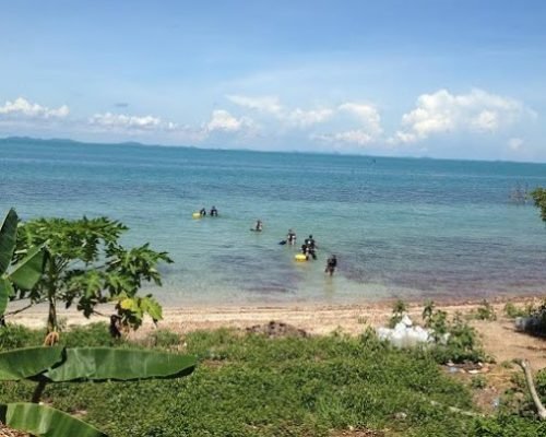 diving view diving view