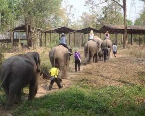 elephant_adventure5 elephant_adventure5