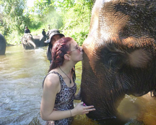 elephant adventure volunteering in Thailand Umphang elephant adventure volunteering in Thailand Umphang