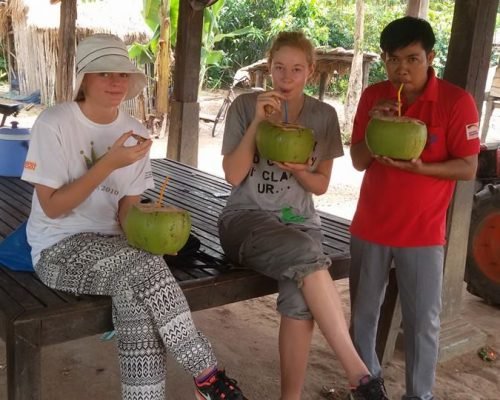 drinking fresh coconuts with friends drinking fresh coconuts with friends