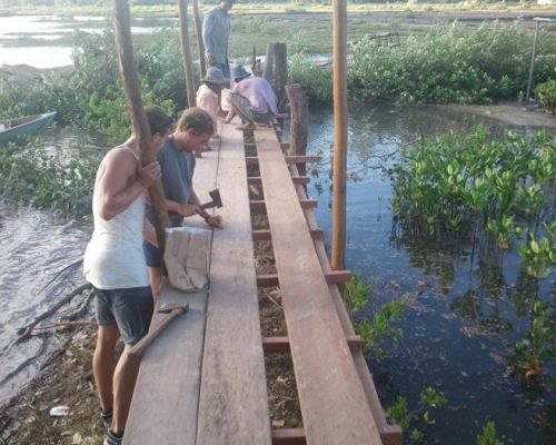 bridgewalk over mangroves with volunteering conservation bridgewalk over mangroves with volunteering conservation