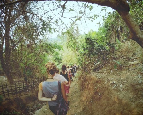 enjoying nature walks with friends enjoying nature walks with friends