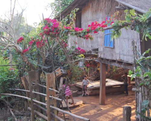 hill tribe (11) hill tribe (11)