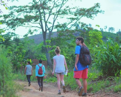 jungle treking thailand jungle treking thailand