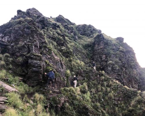 path on annapurna trek scaled pwra3pu27eryhgtr7owr4sja8g5l269pnuvqy2tk0w - 4 Week Annapurna Trek and Volunteering