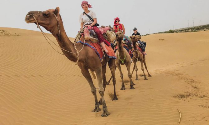 riding camels in India ojalm1lk9cq5lr451rks9nlf2djwdnt5z76d9xtbog - India