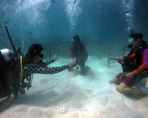 scuba diving borneo q5wc3cr92ce6a27xthjb274txilpi5l4ja8uisspls - Malaysia