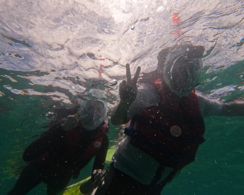 underwater q5wc1ai02fkisv7sv3fs37vf02rpm2ebx2phlxut9c - 2 Week PADI Diving Internship in Borneo, Malaysia