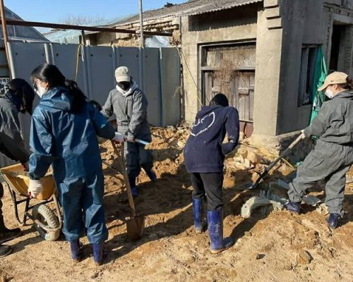 volunteers digging q5wkt73ayy0qqych75axl01e8zpnjziqcnt70rgk2o - Animal Shelter Support in South Korea