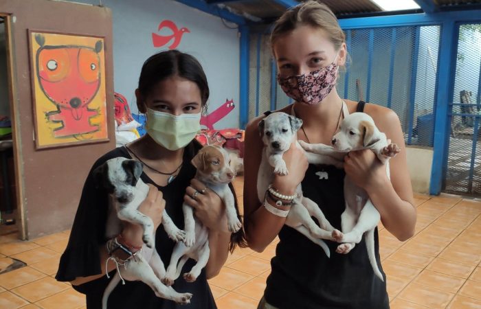 volunteers holding puppies