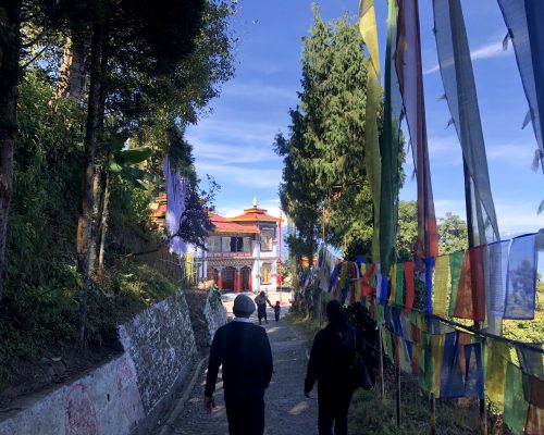 walking to temple pvjyjusm3c282ex2xp5e900y0o3t4k10xjgazpvv6o - Kindergarten Teaching Darjeeling, India