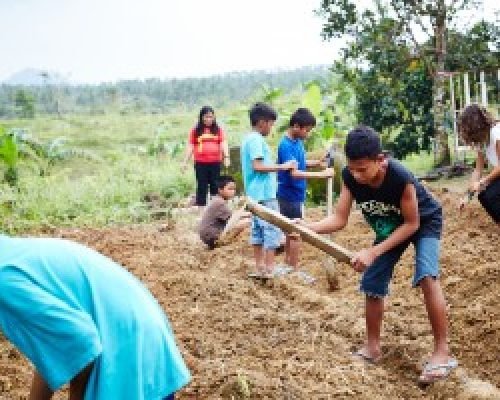 Street Children Support Philippines working in the gardenjpg pziyzay4759qg17vdf9i28690pu6tgo7afrlq3b0yo - Street Children Support Philippines
