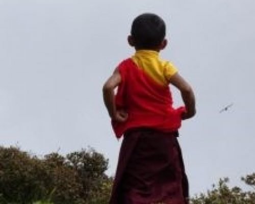 young monk in Nepal young monk in Nepal